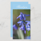 Carte De Remerciements Bleu Scilla siberica (Squill en Bois) Fleurs (Devant / Derrière)