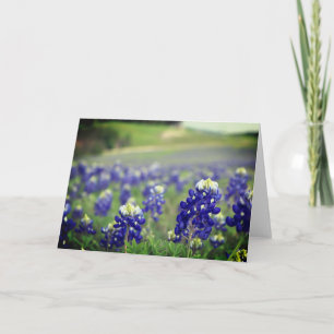 Carte De Remerciements Bleus Bleuets Fleurs Texas Texan Floral