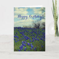 Bleus Fleurs Bleues Texas Anniversaire Floral Tha