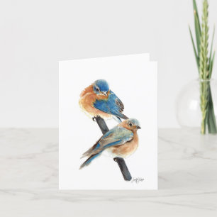 Carte De Remerciements Bluebird Couple