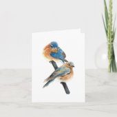 Carte de remerciements Bluebird Pair (Devant)