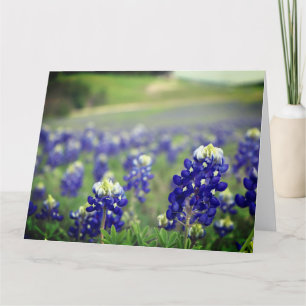 Carte De Remerciements Bluebonnets Fleurs Bleues Texas Texan Floral