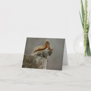 Carte De Remerciements Bonjour,