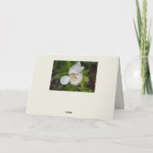 Carte De Remerciements Botanique photographique de Magnolia blanc (Dos)