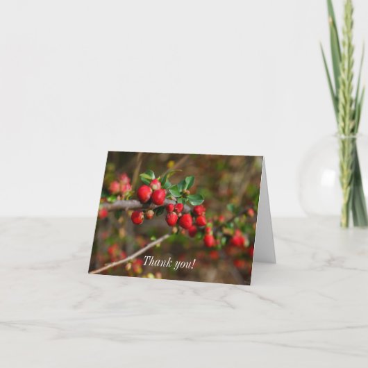 Carte De Remerciements Boucles de printemps rouges (Devant)