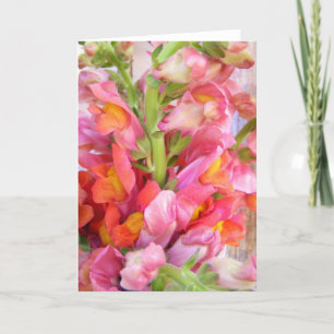 Carte De Remerciements Bouquet de mufliers