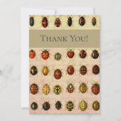 Carte De Remerciements Bug d'insectes coccinelle de coccinelle (Devant)