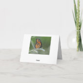Carte De Remerciements Butterfly resting On A Leaf (Dos)