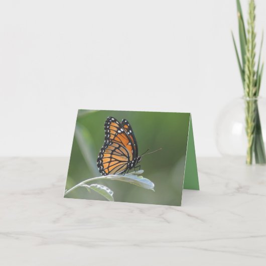 Carte De Remerciements Butterfly resting On A Leaf (Devant)