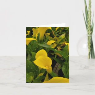 Carte De Remerciements Calla lily