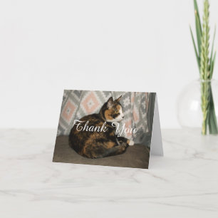 Carte De Remerciements Callie Cat sur le canapé