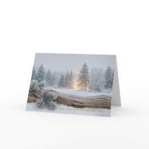 « Calme et lumineux de la forêt hivernale »