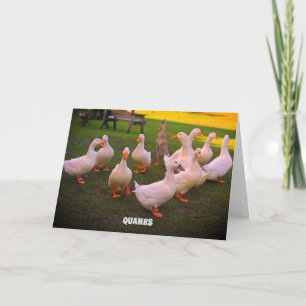 Carte De Remerciements Canards dans le parc Funny Canards Quanks