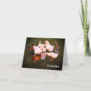 Carte De Remerciements Canards et poulets mangent amusants