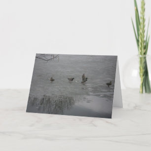 carte de remerciements "Canards sur glace"