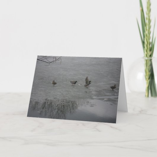 carte de remerciements "Canards sur glace" (Devant)