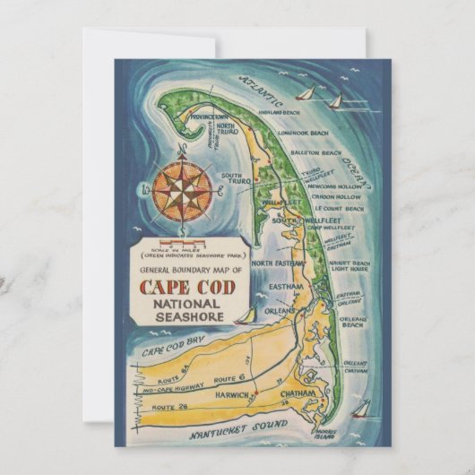 Carte De Remerciements Cape Cod National Seashore 5x7 Postcard (Devant)