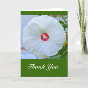 Carte De Remerciements Carte, Hibiscus blanc "Merci"