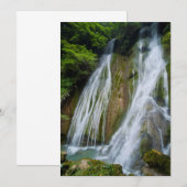 Carte De Remerciements Cascade de Mele-Maat dans la jungle (Devant / Derrière)