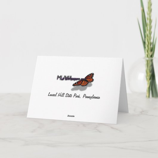 Carte De Remerciements Cascade du parc d'état Laurel Hill State Park II (Dos)