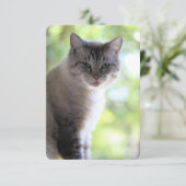 Carte De Remerciements Cat (Debout devant)