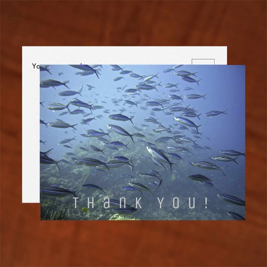Carte de remerciements. Chalet de poisson. Plongée