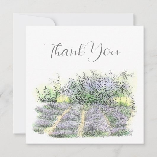 Carte De Remerciements Champ Lavender (Devant)