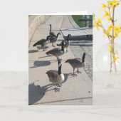 carte de remerciements "chasse à l'oie sauvage" (Fleur jaune)