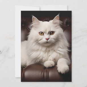 Carte De Remerciements Chat blanc majestueux