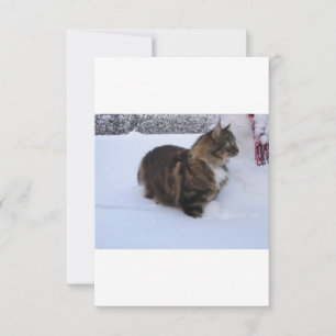 Carte De Remerciements chat des forêts norvégiennes dans la neige