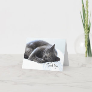 Carte de remerciements chat gris mou