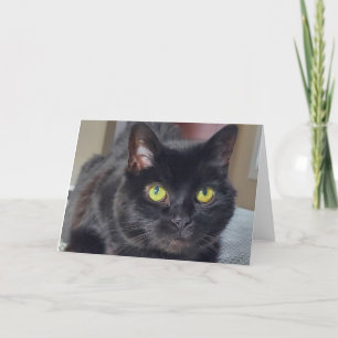 Carte De Remerciements chat noir