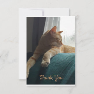 Carte De Remerciements Chat orange