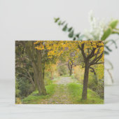 Carte De Remerciements Chemin arboré en automne (Debout devant)