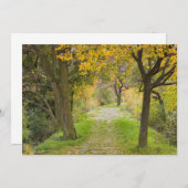 Carte De Remerciements Chemin arboré en automne (Devant / Derrière)