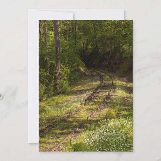 Carte De Remerciements Chemin De Fer Abandonné Dans Une Forêt (Devant)