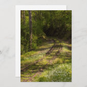 Carte De Remerciements Chemin De Fer Abandonné Dans Une Forêt (Devant / Derrière)