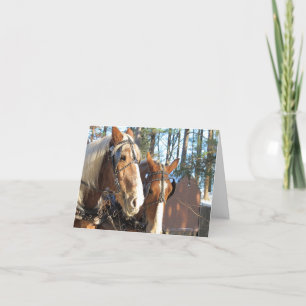 Carte De Remerciements Chevaux d'hiver à Sturbridge Note Card Vierge à l'