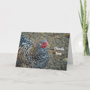 Carte De Remerciements Chicken Black and White Hen Photo
