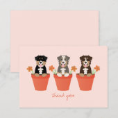 Carte De Remerciements Chien Berger Australien Dans Un Pot De Fleurs (Devant / Derrière)