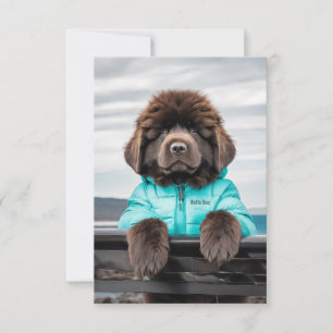 Carte De Remerciements Chien de sauvetage en mer chiot vigie