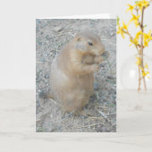 carte de remerciements "Chien des Prairies n° 1" (Fleur jaune)