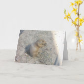 carte de remerciements "Chien des Prairies n° 2" (Fleur jaune)