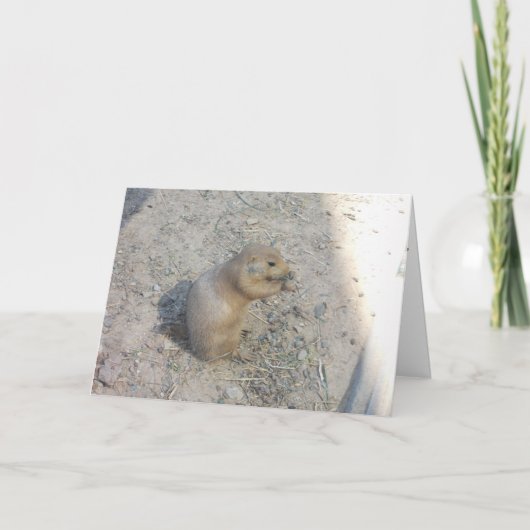 carte de remerciements "Chien des Prairies n° 2" (Devant)