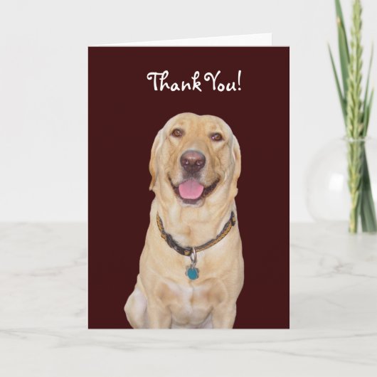 Carte De Remerciements Chien / Lab "Merci" personnalisable ! (Devant)