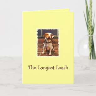 Carte De Remerciements Chien prenant la plus longue maison de laisse