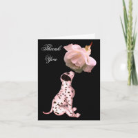 Chiot dalmate Et Rose Blanche