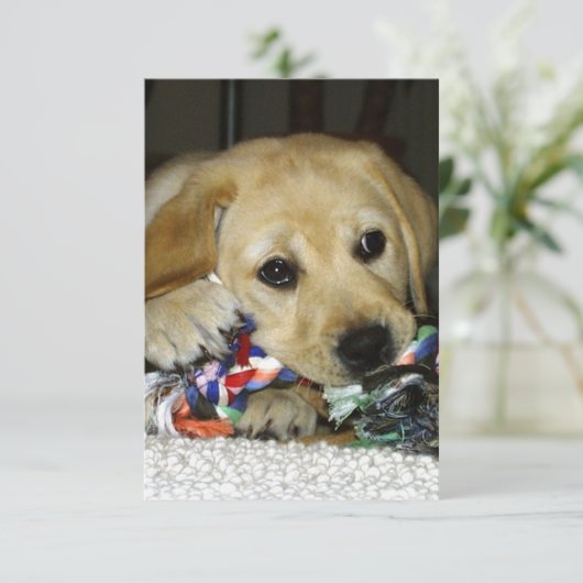 Carte De Remerciements chiot labrador jaune LR avec jouet (Debout devant)
