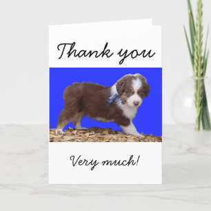 Carte De Remerciements Chiot rouge Aussie Tri