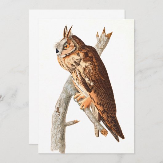 Carte De Remerciements Chouette à longue portée par John James Audubon (Devant / Derrière)
